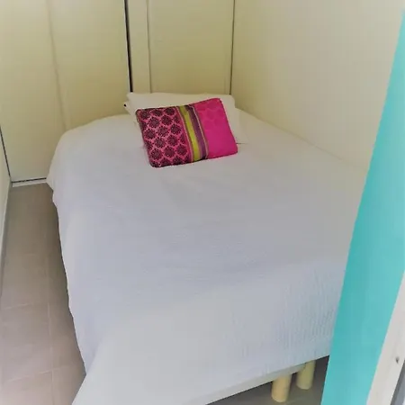 View Jolie Avec Jardin Lejlighed Nice