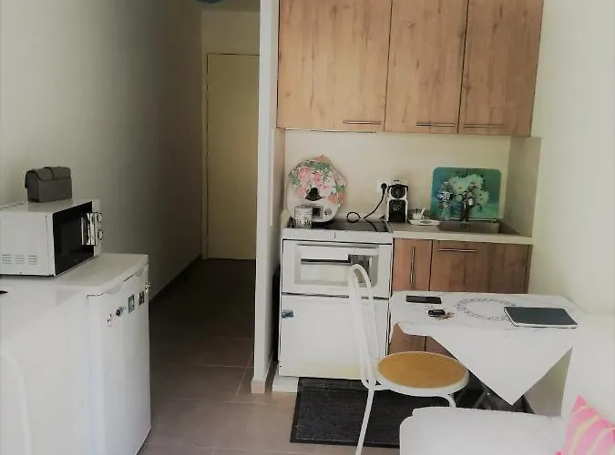 View Jolie Avec Jardin * Nicea